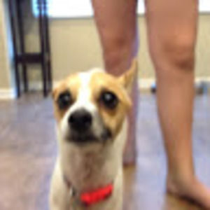 Meet your Posher, Isabella